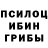 Псилоцибиновые грибы Psilocybe Nikolay_943
