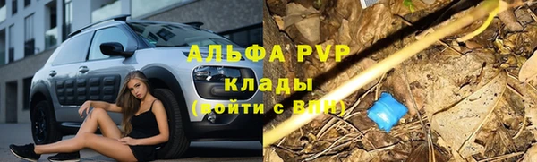 ПСИЛОЦИБИНОВЫЕ ГРИБЫ Волосово